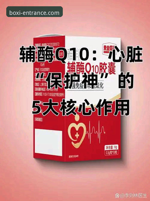 2026博喜体育安装包：5个必须了解的核心优势与使用指南